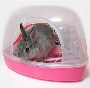 Как приучить кролика к лотку - туалету