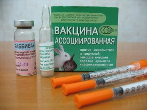 Вакцина ВГБКМ ассоциированная сухая для кроликов, уп. 10 ампул по 10 доз (г. Покров)