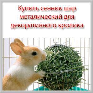Купить сенник шар для декоративного кролика