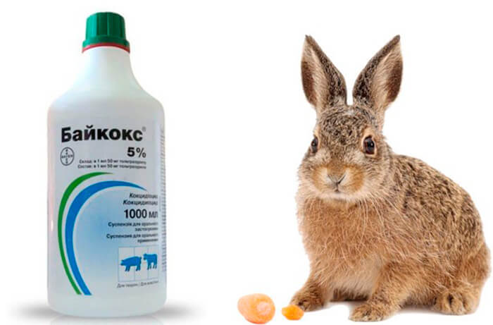 Байкокс для кроликов инструкция по применению