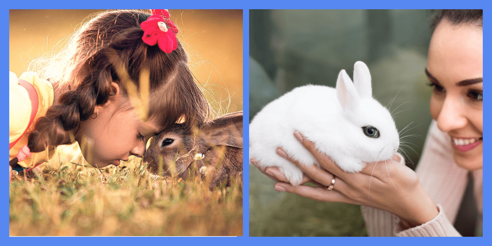 Могут ли кролики чувствовать эмоции человека?